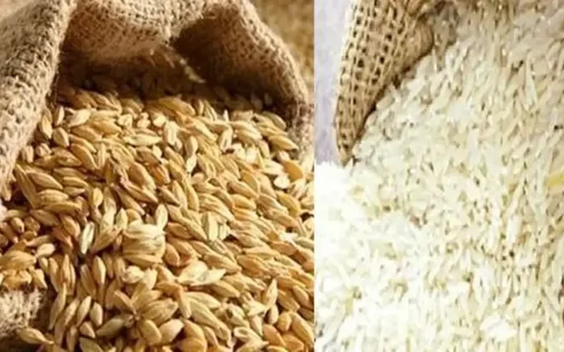 استقرار ملحوظ في أسعار طن الأرز الشعير داخل الأسواق المحلية اليوم الثلاثاء